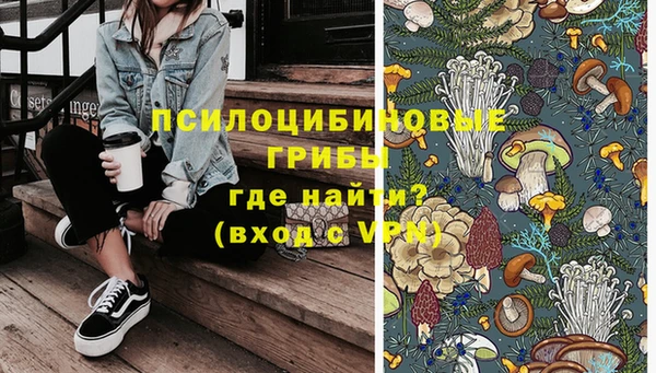 ГАЛЛЮЦИНОГЕННЫЕ ГРИБЫ Алексин