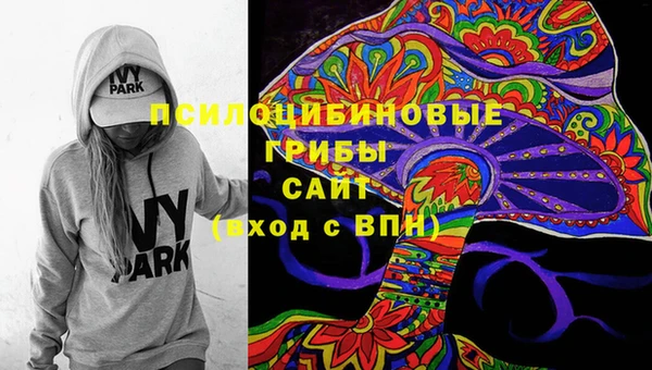 героин Алзамай