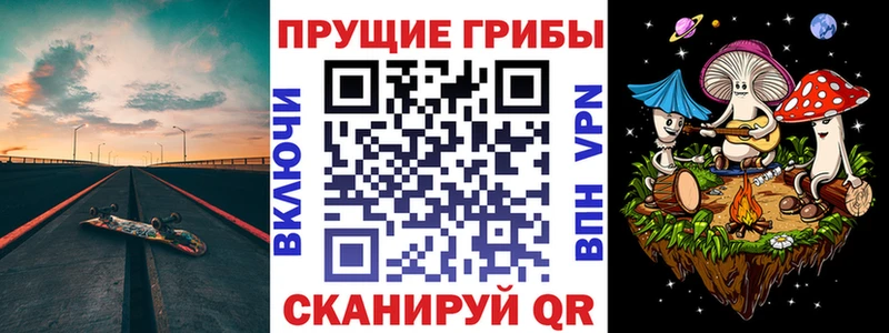 Псилоцибиновые грибы Psilocybine cubensis Краснознаменск