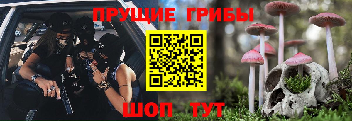 Псилоцибиновые грибы мицелий  Галлюциногенные грибы прущие грибы  Вход с VPN  Краснознаменск 