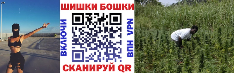 Конопля Amnesia  Краснознаменск 